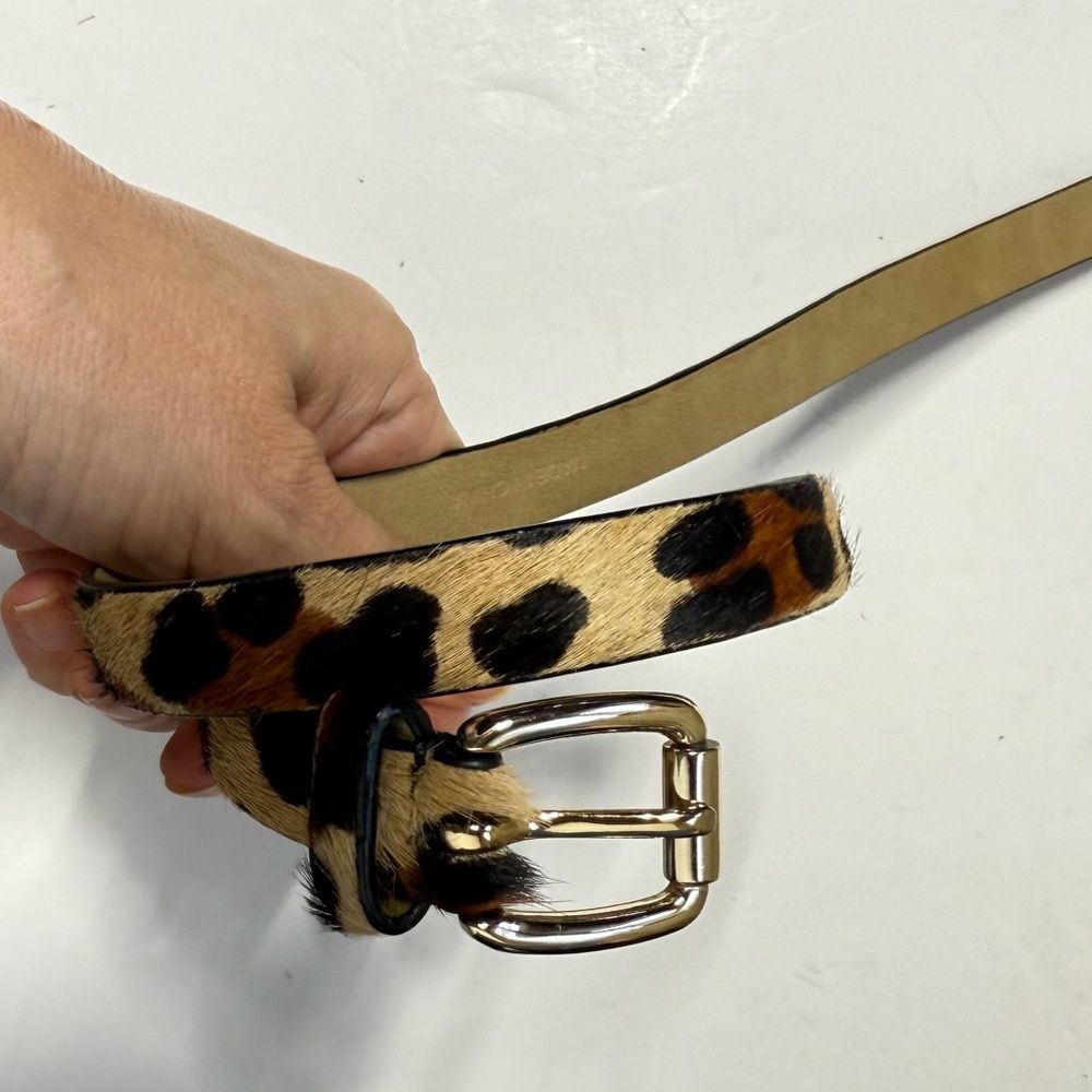 Talbots Calf Hair Skinny Belt with Rounded Square Gold Buckle XS NWOT - Picture 3 of 11